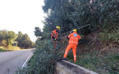 Maltempo, a Enna la Protezione Civile (ECPC) rimuove gli alberi pericolanti