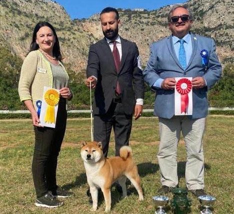 Enna: Top Dog, esemplare di Casa Savoca è lo shiba inu numero 1 in Italia