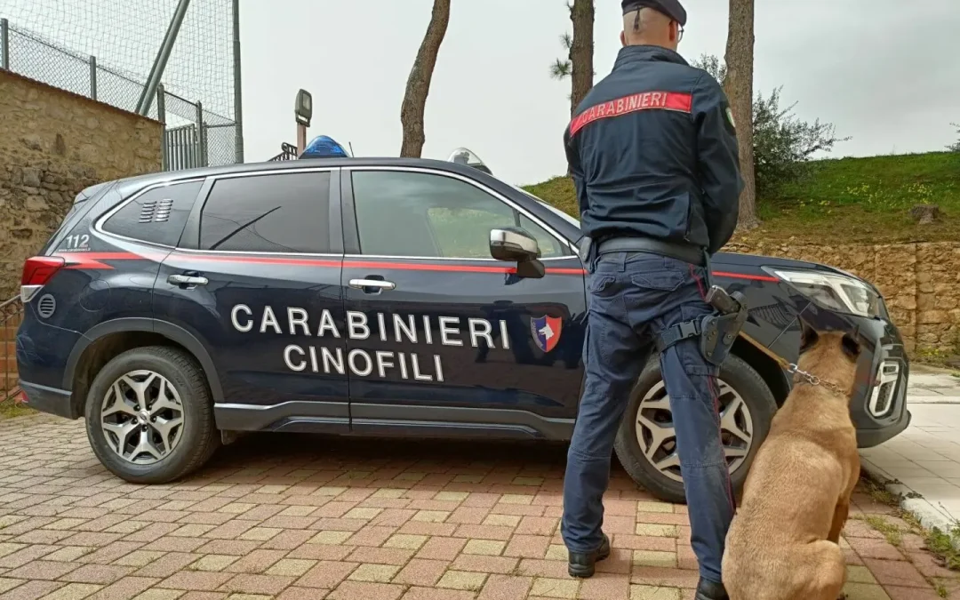 Stampava soldi e documenti falsi e in casa aveva armi, un arresto a Palermo