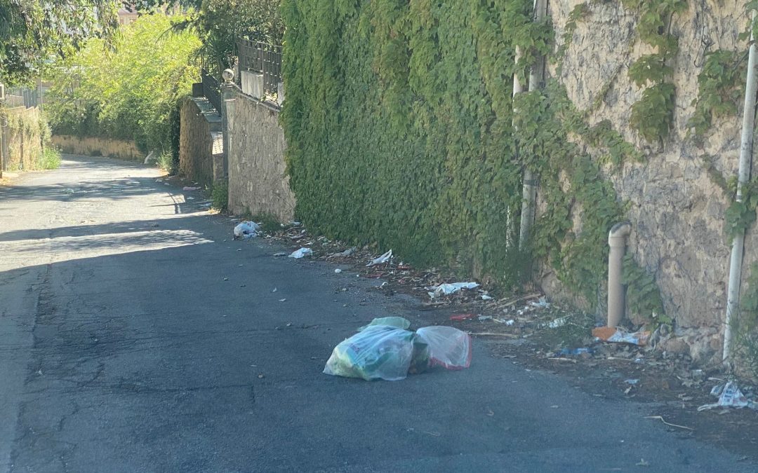 Piazza Armerina, rifiuti e atti incivili deturpano le strade della città