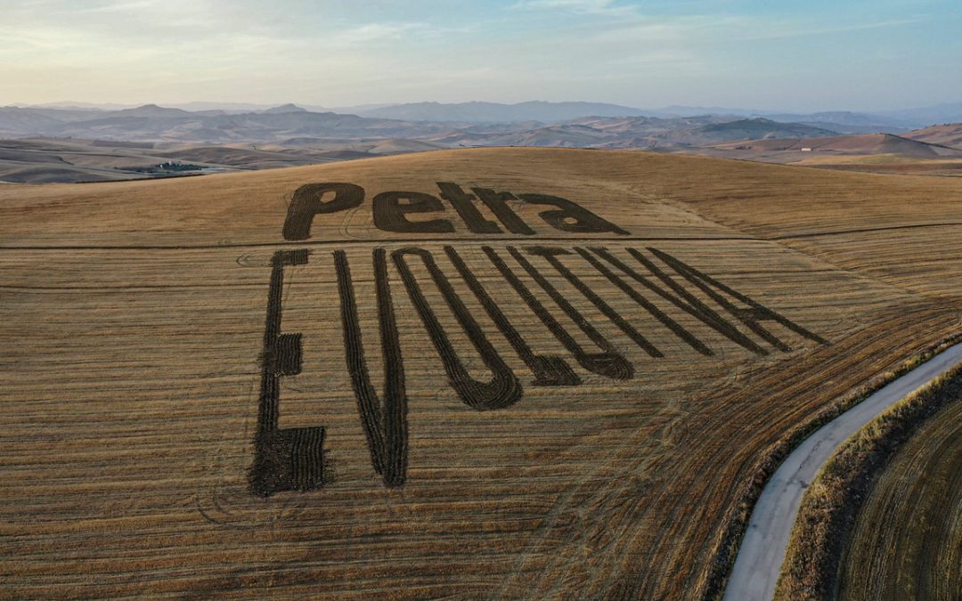 Valguarnera, al campus di Petra Molino Quaglia si dibatte sulla diversità del grano e del pane