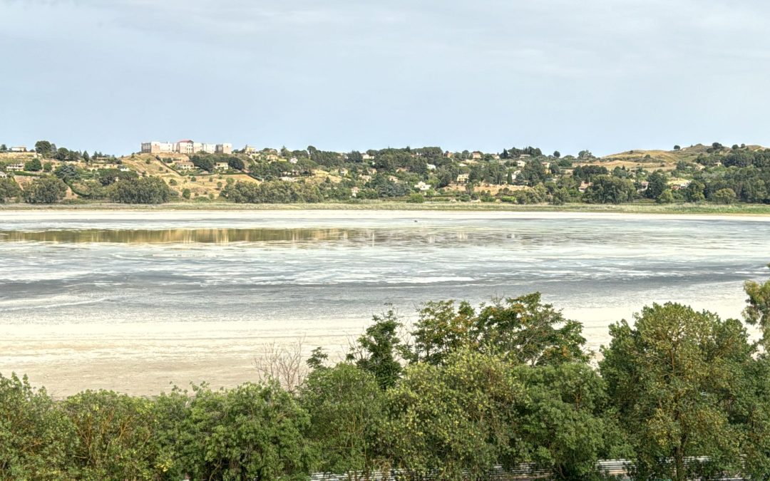 Il lago di Pergusa quasi vuoto: “E’ proprietà della Regione e competenza dell’ex Provincia”