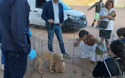 Palermo, Ferrandelli “Sold out di microchip oggi al centro Conca d’Oro”