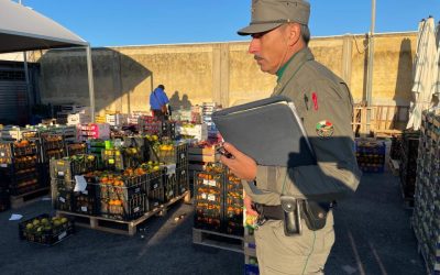 Sequestri al mercato di Siracusa, Schifani “Tuteliamo il made in Sicily”