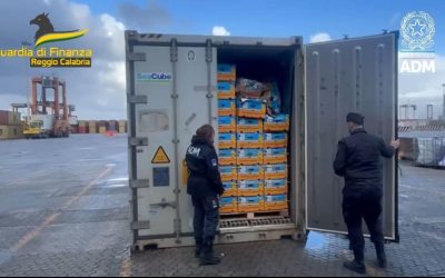 Blitz nel porto di Gioia Tauro, sequestrati oltre 780 chili di cocaina