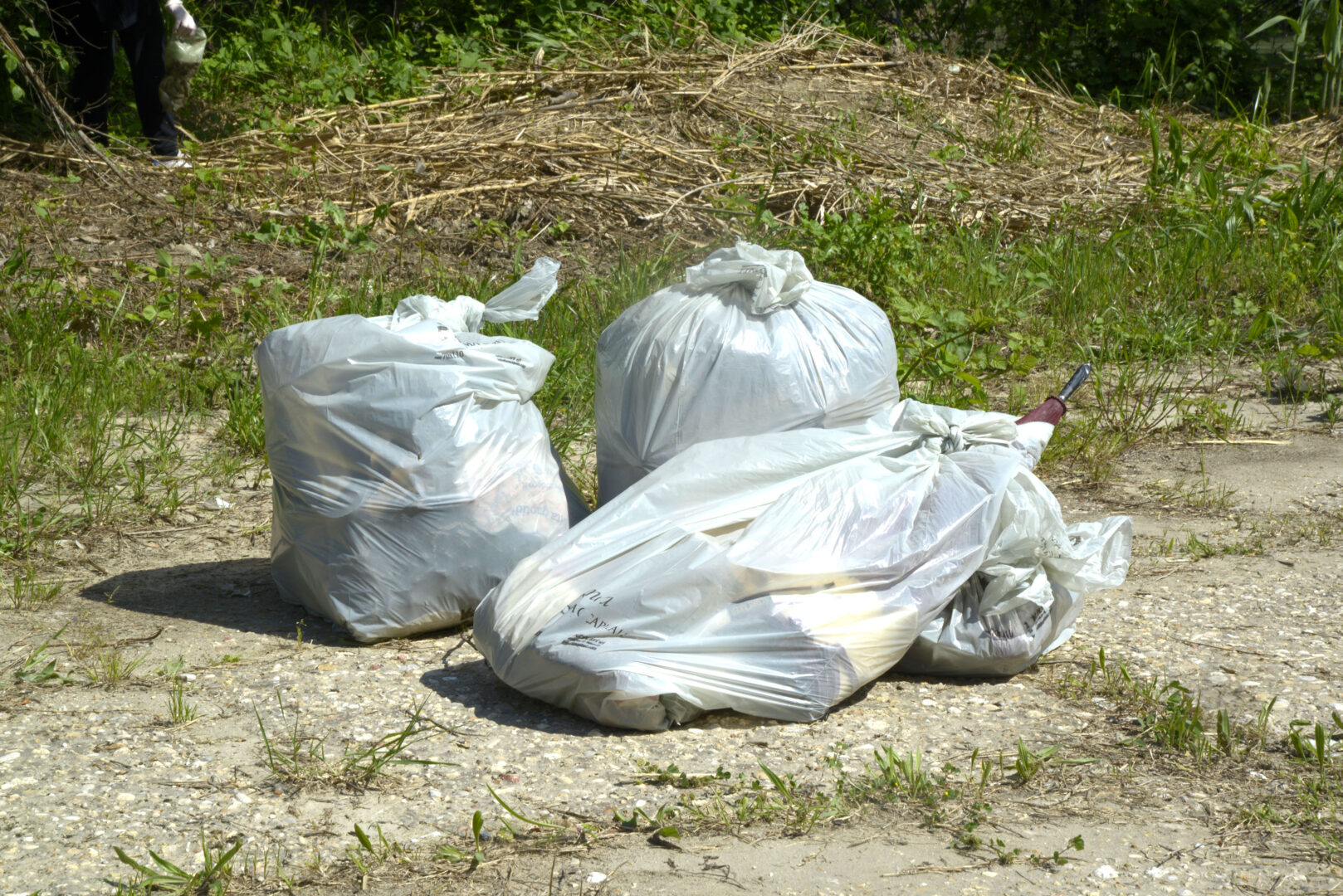 La Regione Siciliana stanzia 250 mila euro a favore dei comuni Plastic Free