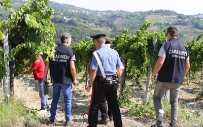 Controlli contro il caporalato in aziende agricole nel nisseno, multe e una denuncia