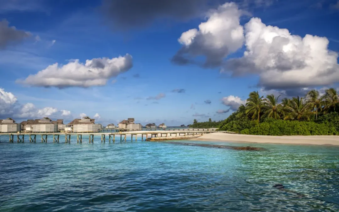 Cinque italiani morti alle Maldive durante un’immersione