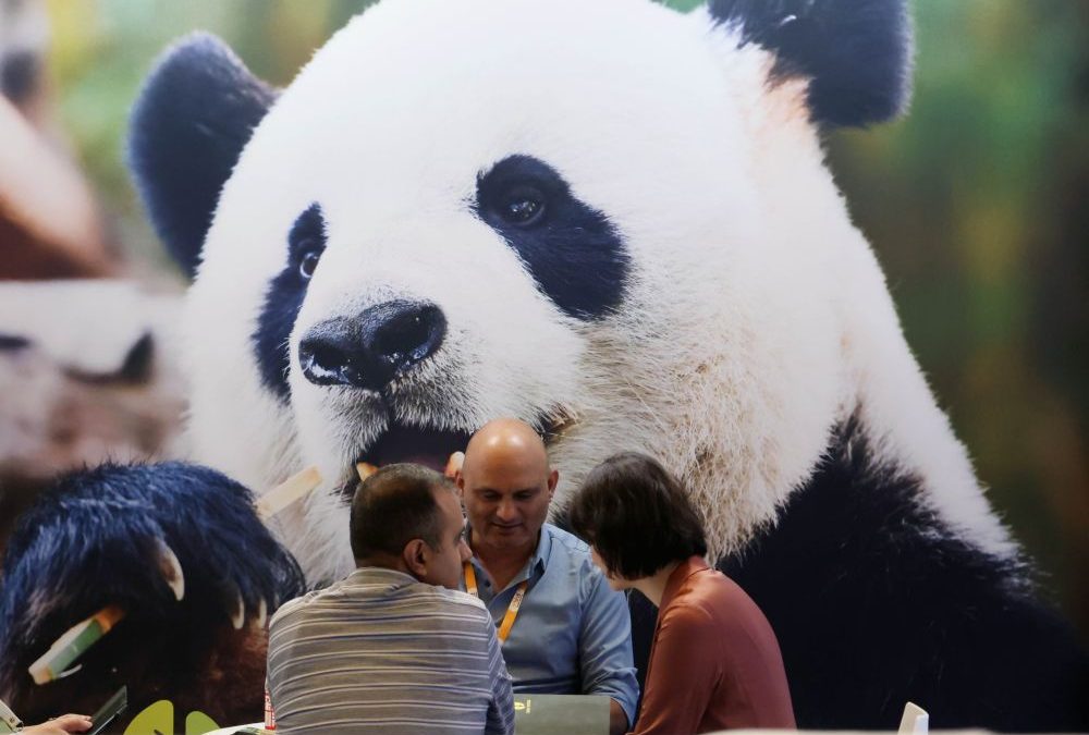 Cina, in aumento dell’11,3% i ricavi dell’industria pubblicitaria