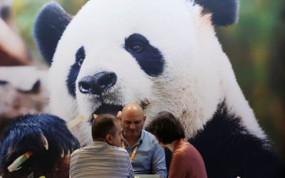Cina, in aumento dell’11,3% i ricavi dell’industria pubblicitaria