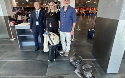Partito dall’aeroporto di Palermo il primo volo ITA Airways con cane di grossa taglia