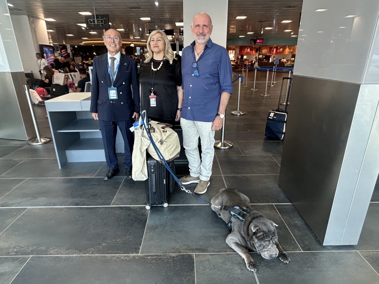 Partito dall’aeroporto di Palermo il primo volo ITA Airways con cane di grossa taglia