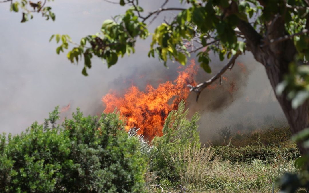 Sicilia nella morsa degli incendi, la Giunta dichiara lo stato di emergenza regionale