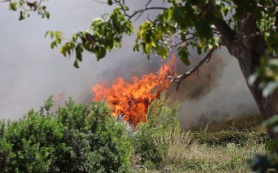 Sicilia nella morsa degli incendi, la Giunta dichiara lo stato di emergenza regionale