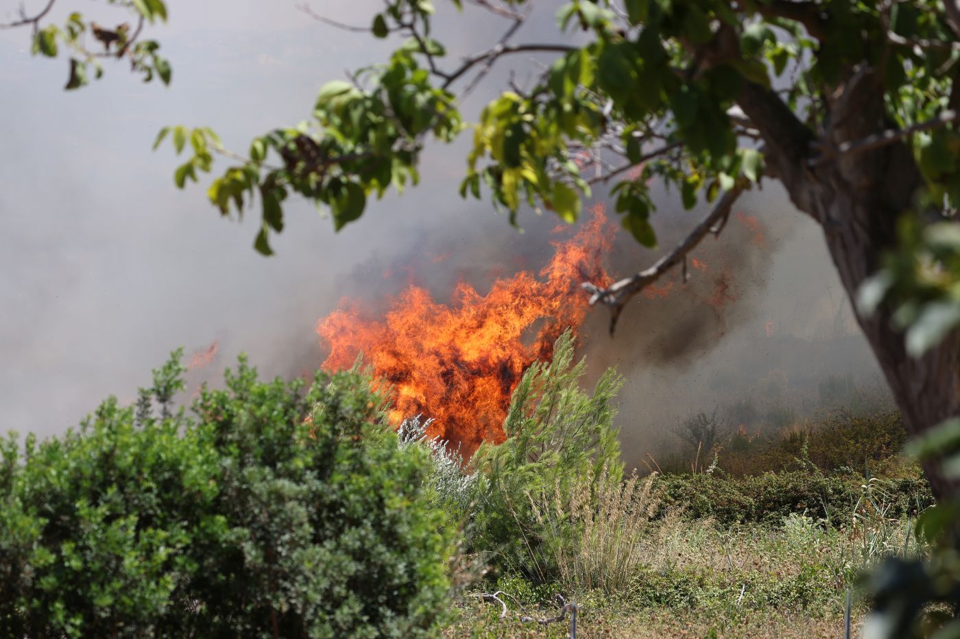Sicilia nella morsa degli incendi, la Giunta dichiara lo stato di emergenza regionale
