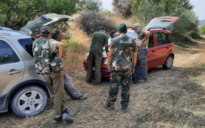 Caccia nell’Ennese, l’allarme del Wwf: “Pochi controlli contro il bracconaggio, un clima di sostanziale impunità”
