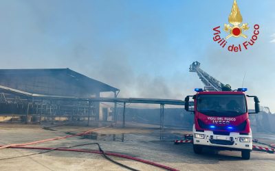 Inferno di fuoco in un’azienda avicola di Piazza Armerina: muoiono 300mila polli