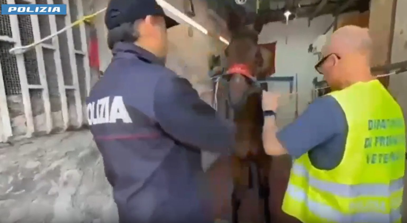 Col kalashnikov a una corsa clandestina di cavalli, giovane arrestato a Catania